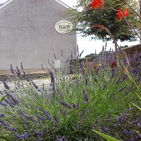 Bed & Breakfast Slievebawn *